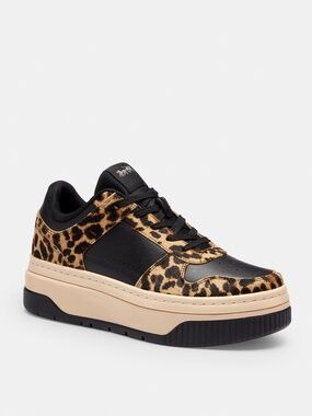 Coach Outlet Platform Sneaker With Leopard Print